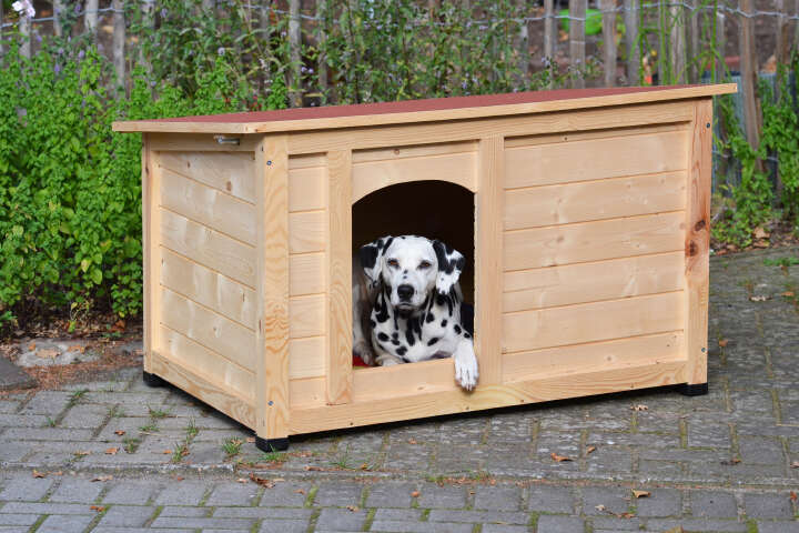 dobar Große Hundehütte Lord